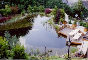 Schwimmteich mit Holzdeck