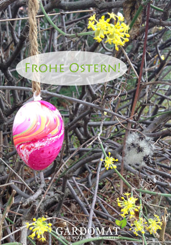 Frühling Frühblüher Ostern