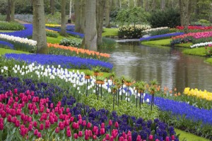 Gartengestaltung in der Niederlande