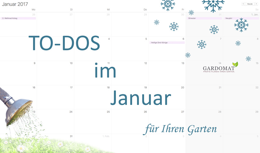 to-dos-im-januar