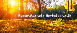 Einstiegsbild zum Thema Herbstschnitt