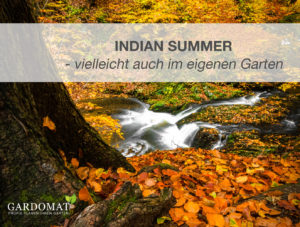 Einstiegsbild Artikel Indian Summer