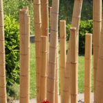 Bambus als Sichtschutz