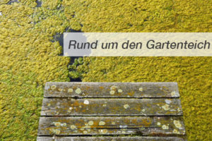 Einstieg Rund um den Gartenteich - Teil 1 die Algen