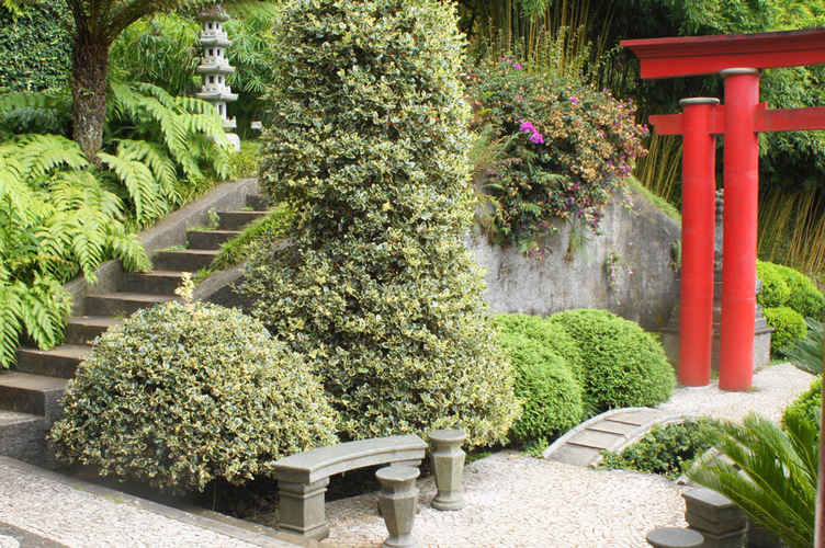 japanischer Garten mit Stechpalme als Formschnittgehoelz und Steinbank