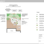 konzeptplan-fuer-kleinen-japanischen-garten