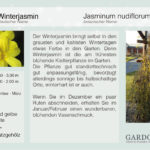 Adventskalender Tag 8
