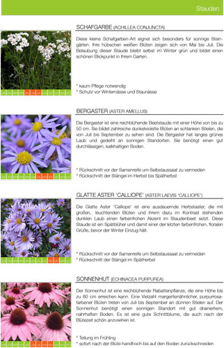Beetplanung-Vorgarten-Broschuere-Stauden