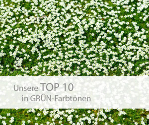 Einstieg TOP 10 grün