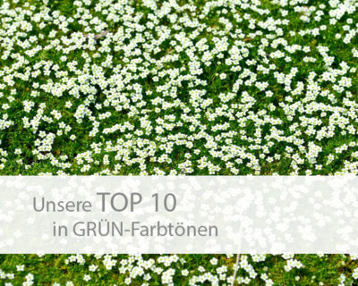 Einstieg TOP 10 grün