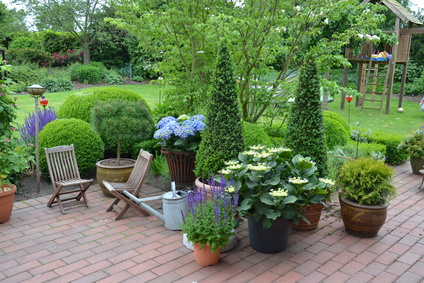 Terrasse Kübelpflanzen grün_Fotolia