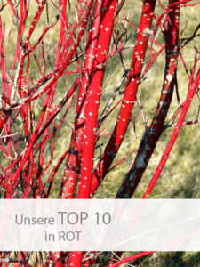 Einstieg-TOP-10-Rot