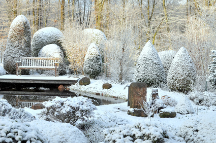 Gartengestaltung im Winter