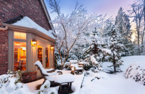 Schnee und dessen Wirkung im Garten