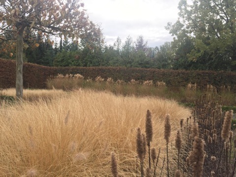 Schaugarten moderner Hausgarten