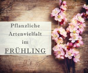 Einstieg Pflanzenvielfalt im Frühling