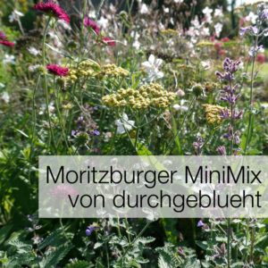 Einstieg zum Thema Moritzburger MiniMix