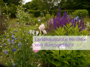 Einstieg zum Thema Landhausblüte MiniMix