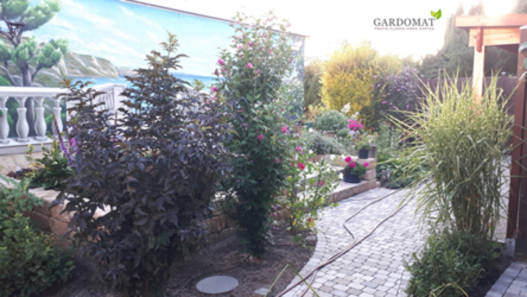 Mediterraner Garten Mediterraner Garten