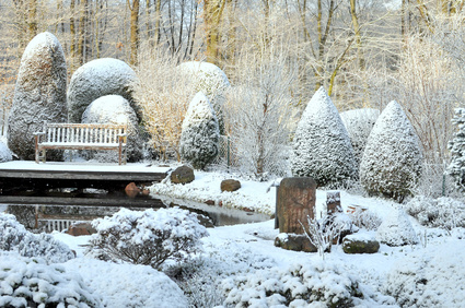 Gartengestaltung-im-Winter