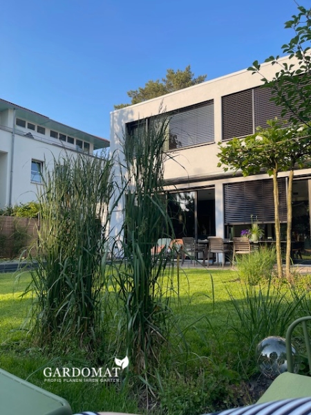 Moderner Einfamilienhausgarten mit Pool