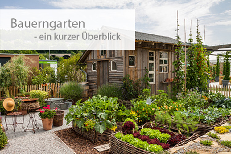 Einstieg-Bauerngarten Einstieg-Bauerngarten