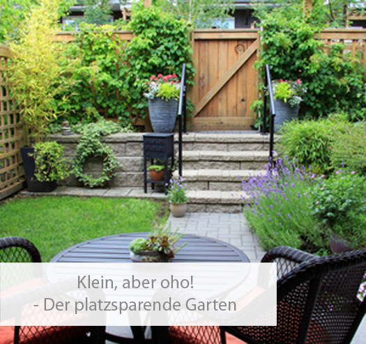 Einstieg-platzsparender-garten