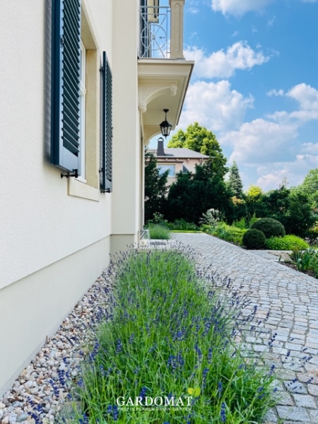 Moderner natürlicher Garten Moderner natürlicher Garten
