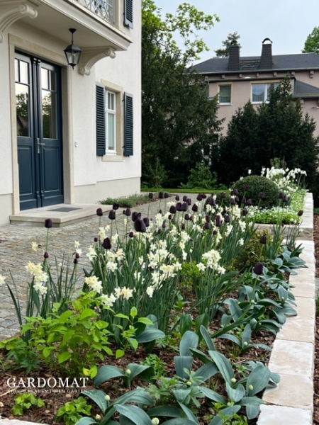 Moderner natürlicher Garten Moderner natürlicher Garten