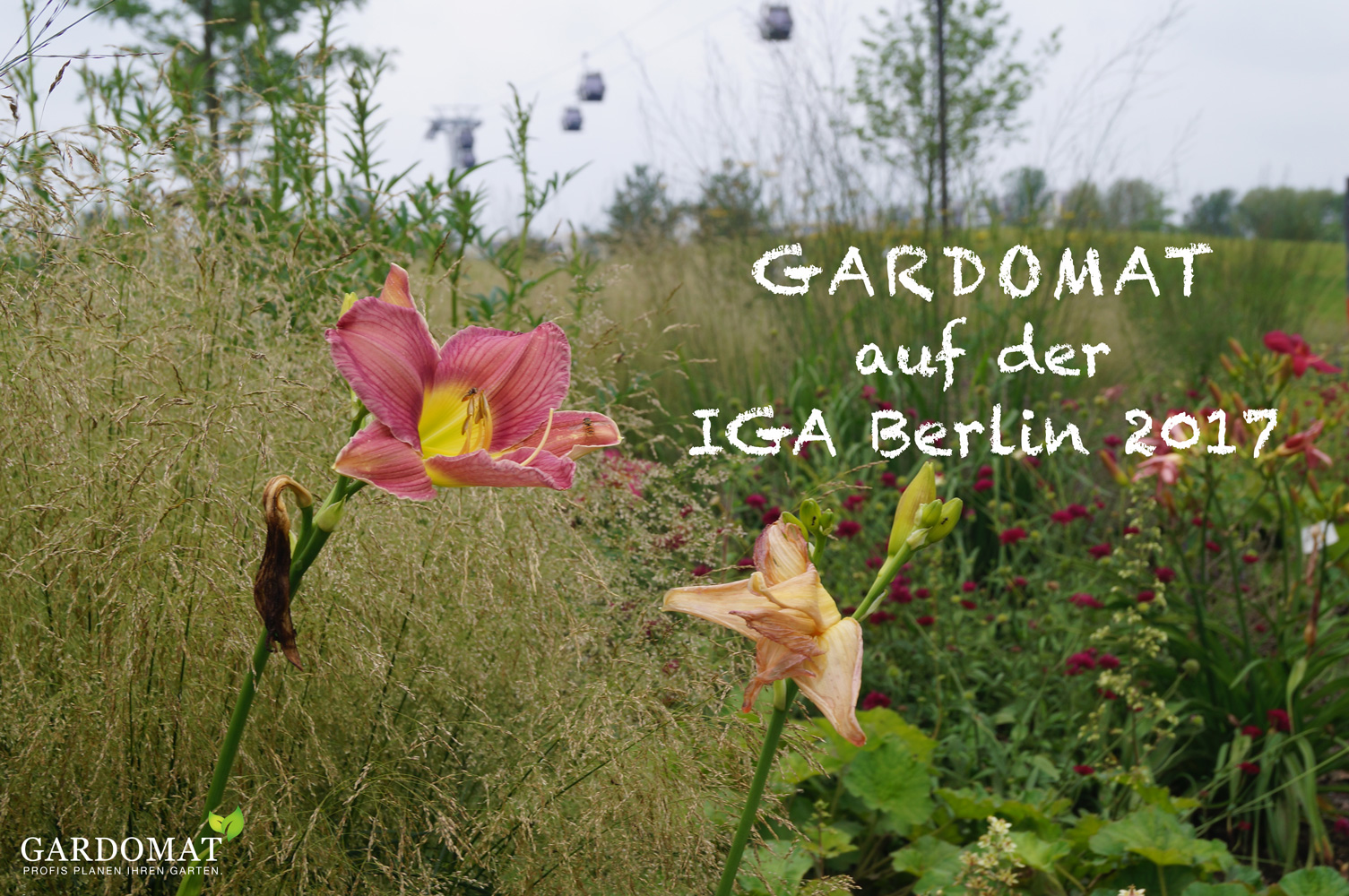 Titelbild-IGA-Berlin-2017